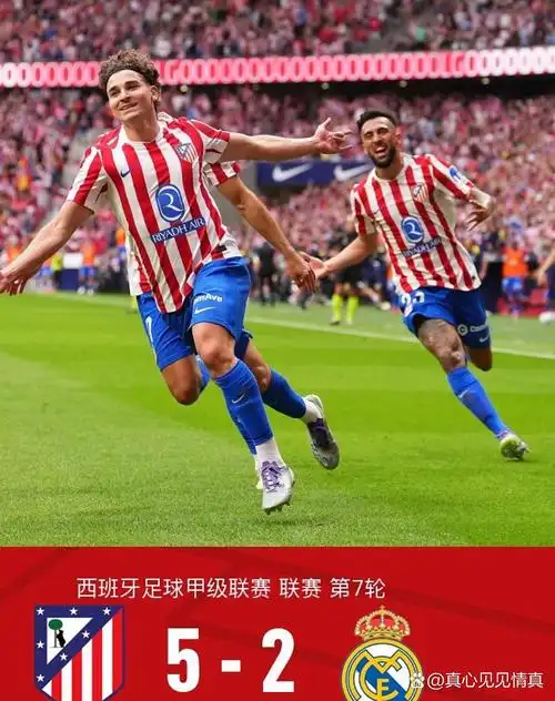 雨燕直播在线观看高清